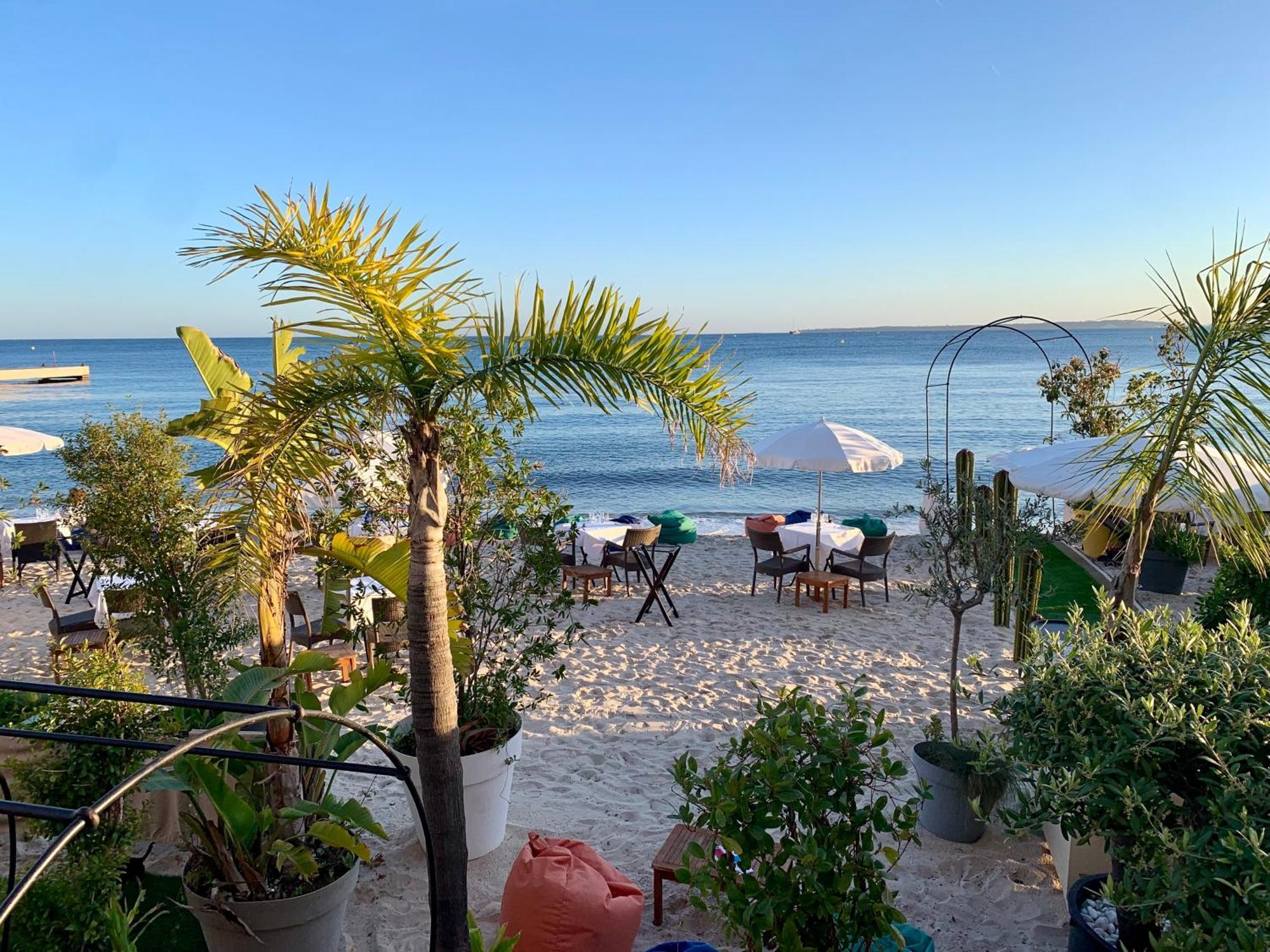 Somptueux Appartement 20M Plages Avec Vue Mer Antibes Ngoại thất bức ảnh